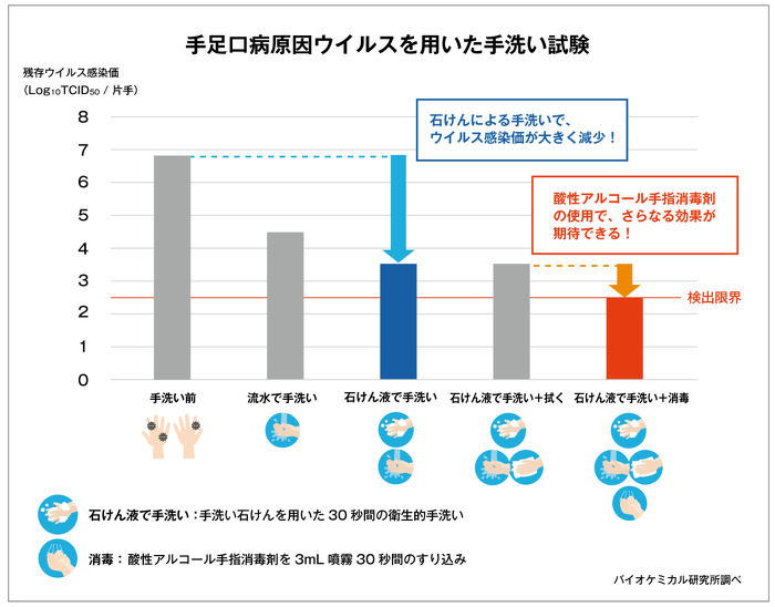 手足口病原因ウイルスを用いた手洗い試験